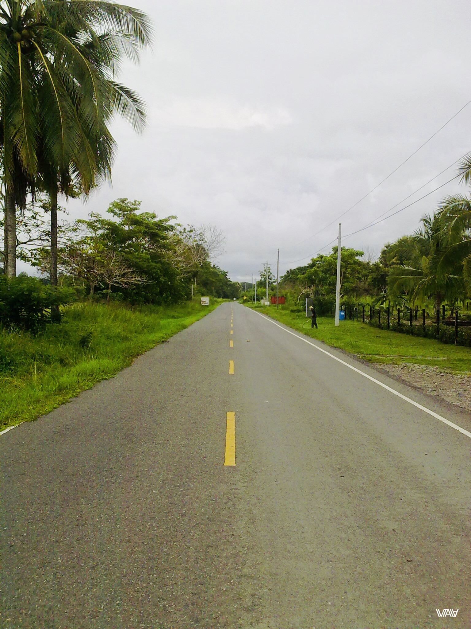 Окоймленный пальмами путь домой. Лас Лахас, Панама 