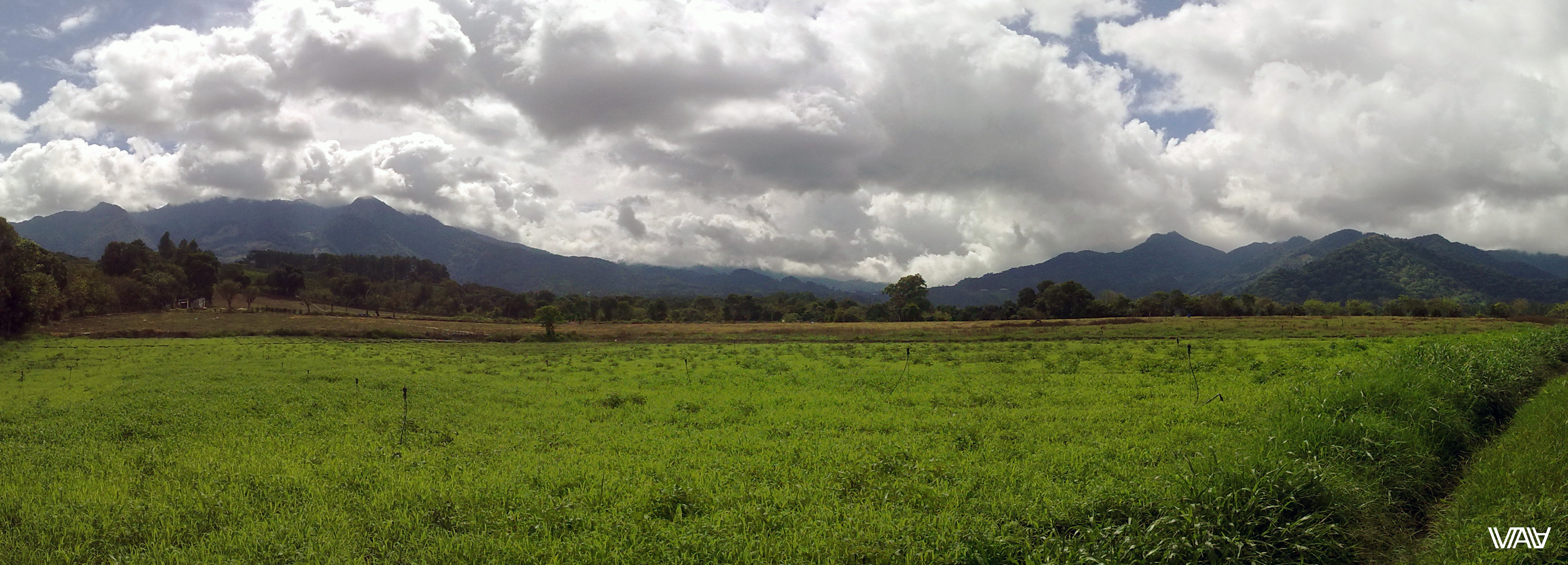 Local scenery with field and mountains. Bajo Boquete, Panama