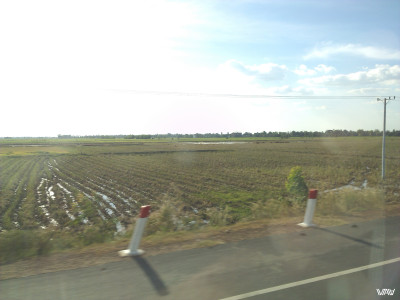 Farm fields on the road to Siem Reap